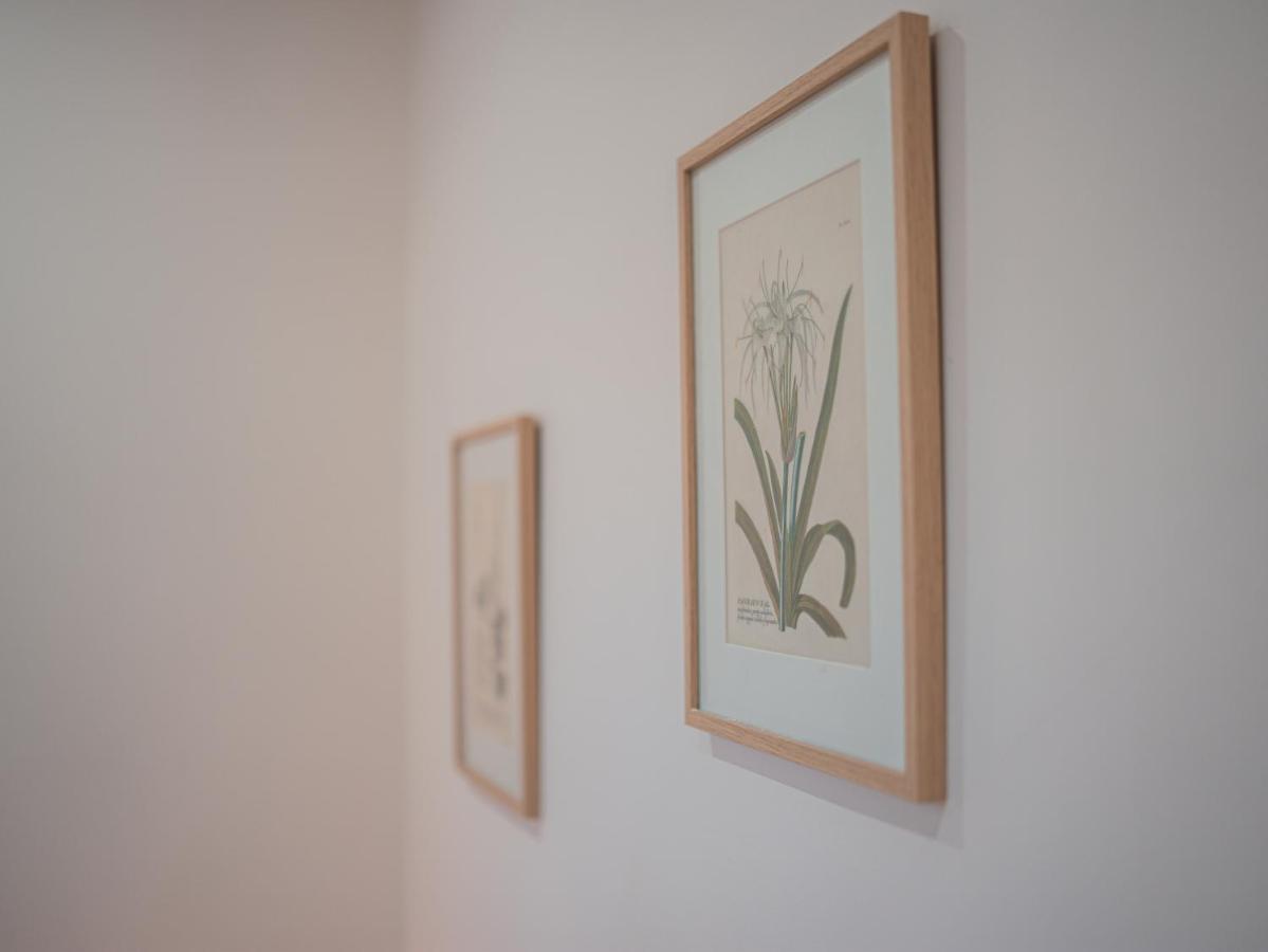 L'Annexe Clermont Ferrand Διαμέρισμα Εξωτερικό φωτογραφία